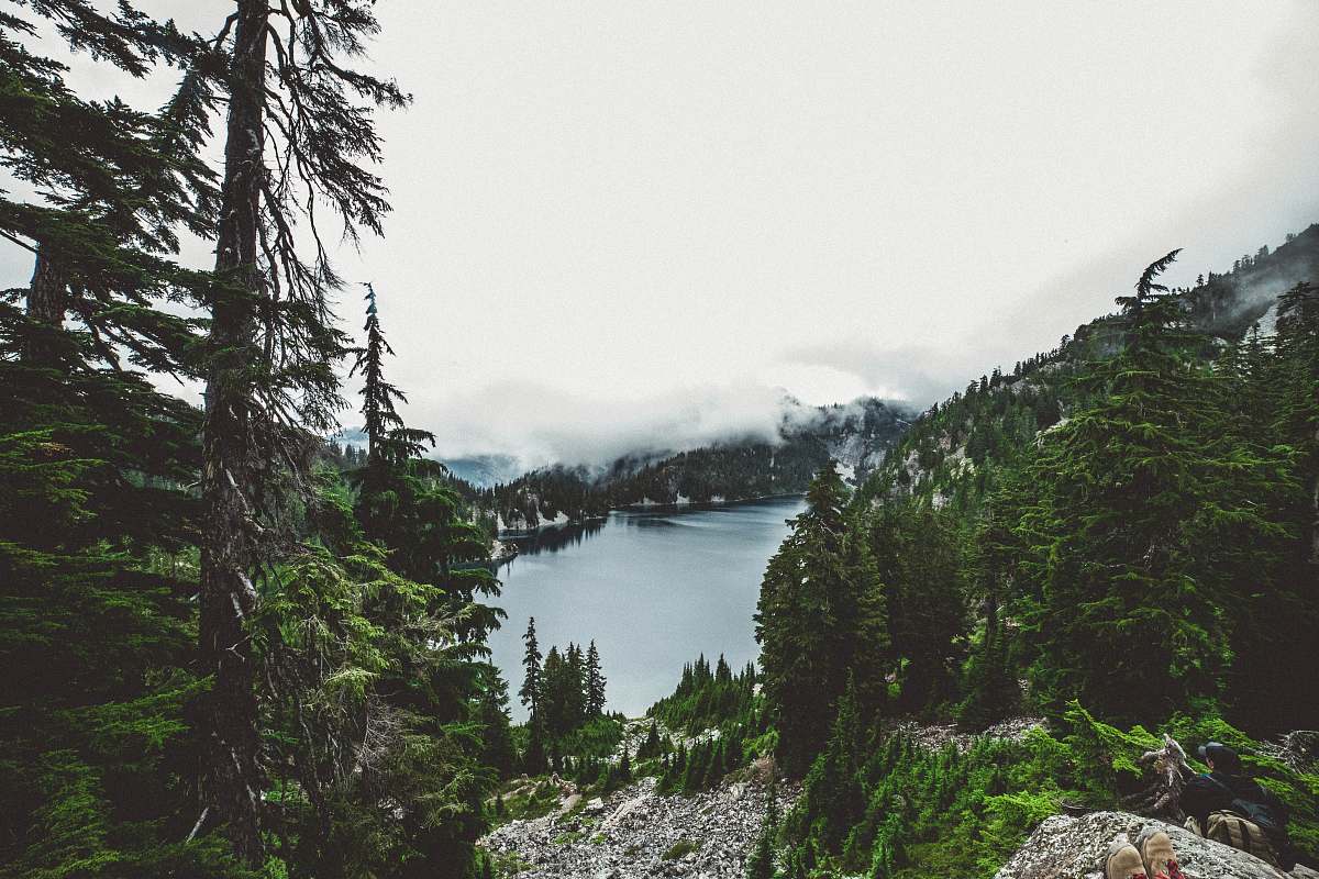 snoqualmie pass lake near green leafed trees under cloudy sky at daytime vase
